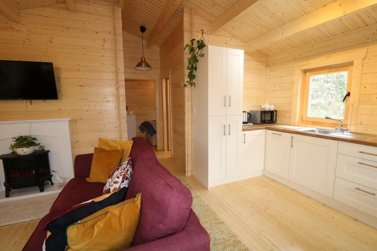 Inisean Lodge Log Cabin -Part Of Inisean B&B ดังโล ภายนอก รูปภาพ